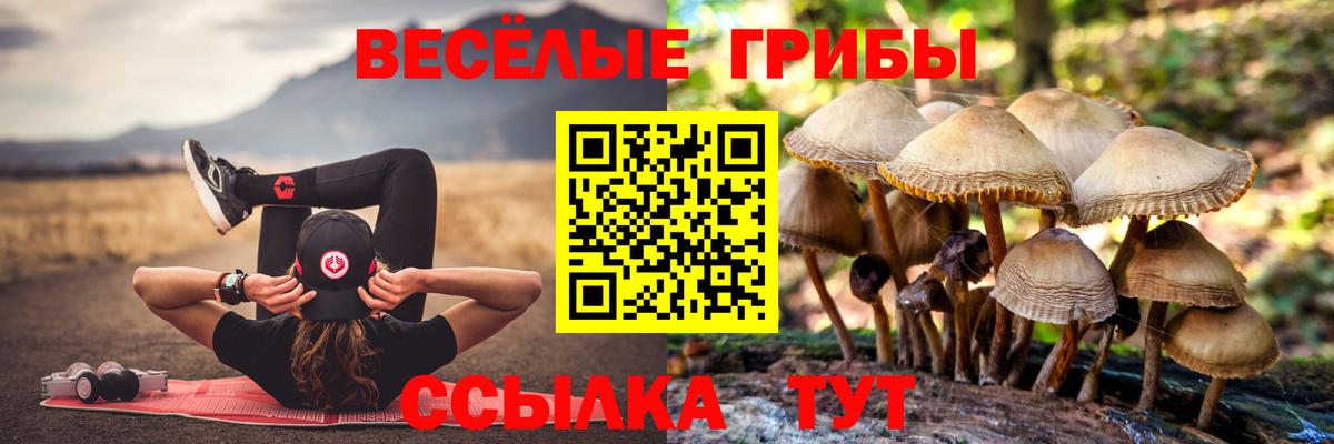 Псилоцибиновые грибы Psilocybine cubensis  Вход с VPN  Назрань  Галлюциногенные грибы Psilocybe 